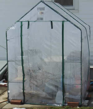 My $50 Greenhouse