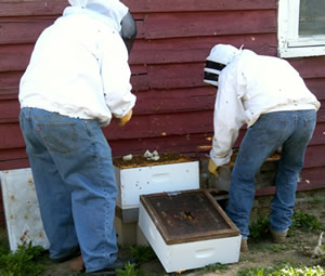 Beekeepers